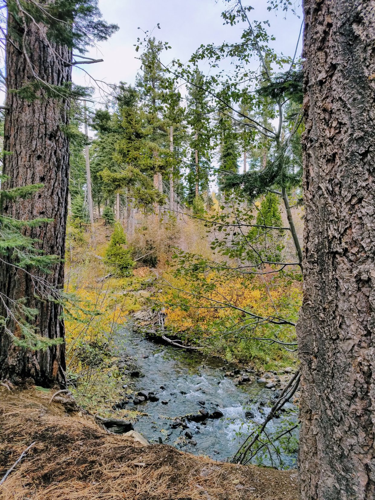 fallen leaf lake hikes